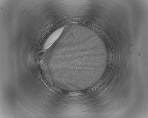 X0000071850703200607290133