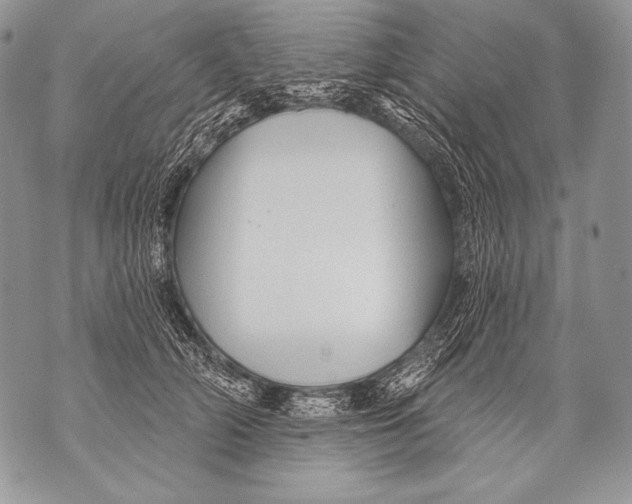 X0000071850706200607290133