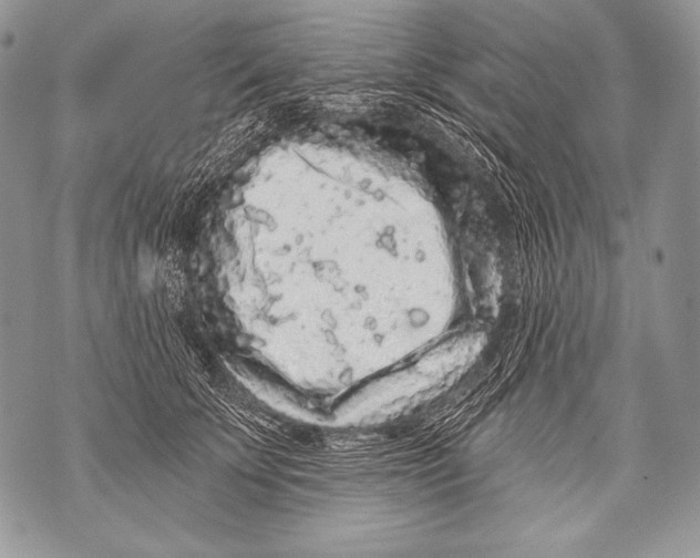 X0000071850707200607290132