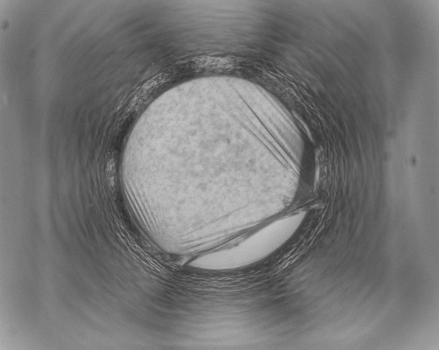 X0000071850708200607290132