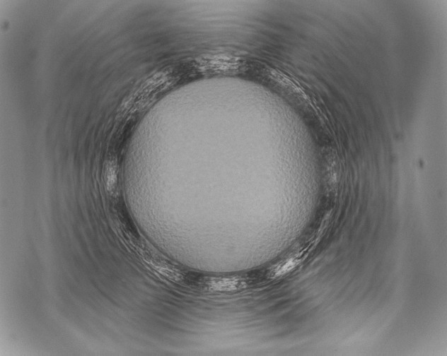 X0000071850709200607290132