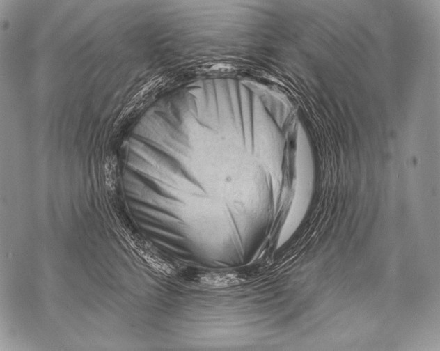 X0000071850712200607290132