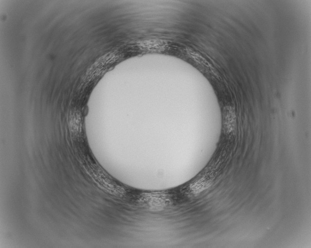 X0000071850713200607290132