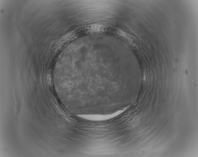 X0000071850715200607290132