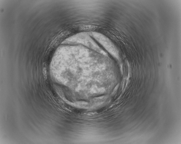 X0000071850716200607290132