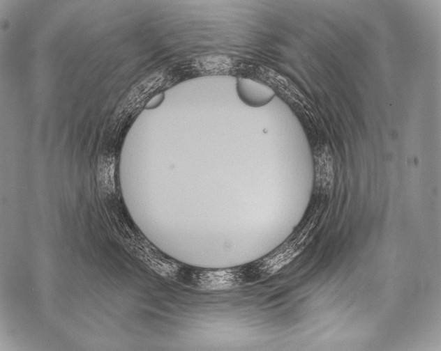 X0000071850717200607290132