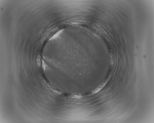 X0000071850718200607290132