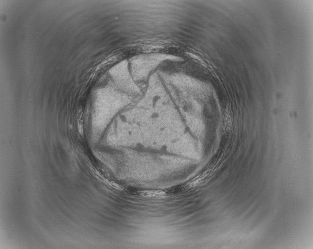 X0000071850719200607290132