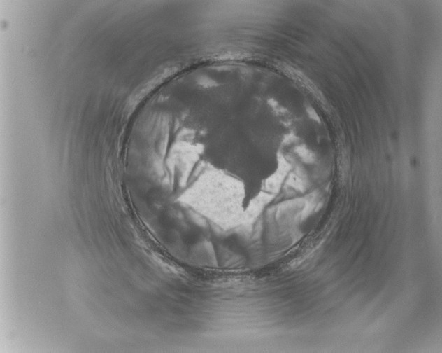 X0000071850721200607290132