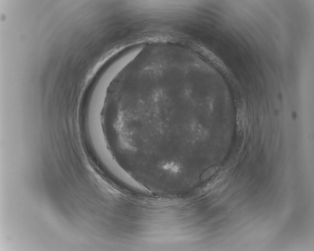 X0000071850722200607290132