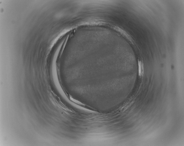 X0000071850723200607290132