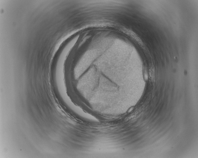 X0000071850724200607290132