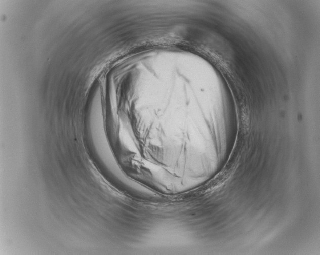 X0000071850725200607290132