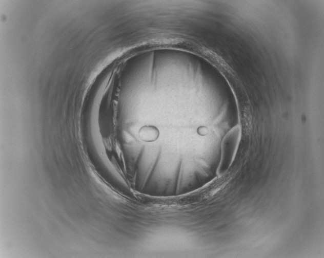 X0000071850726200607290132