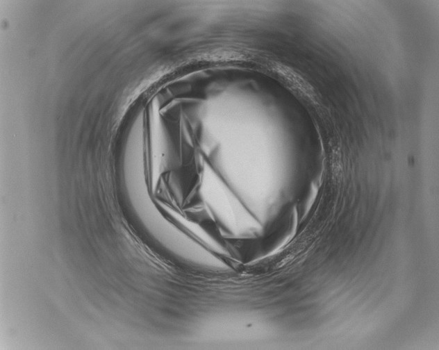 X0000071850727200607290132