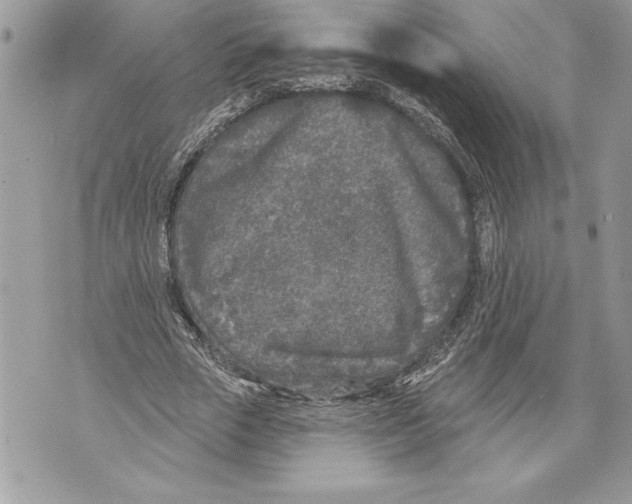 X0000071850729200607290132