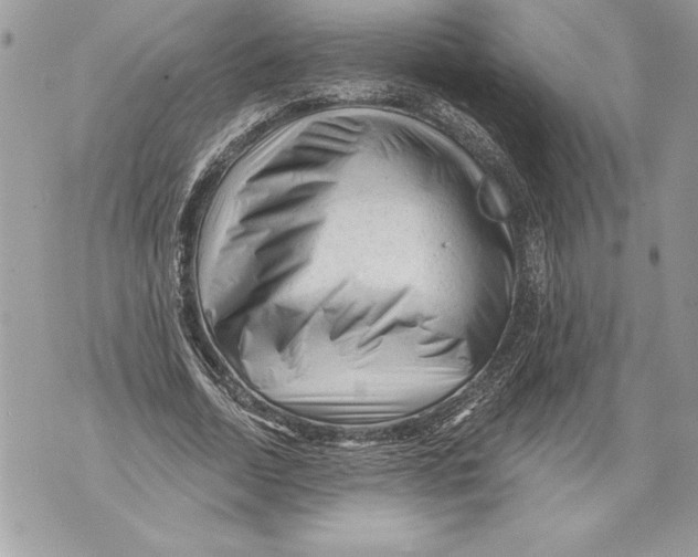 X0000071850730200607290132