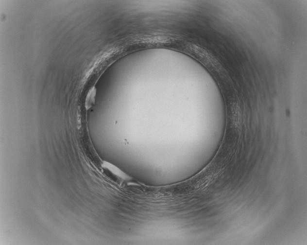 X0000071850731200607290132