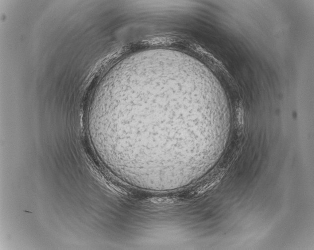 X0000071850733200607290132