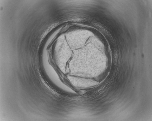 X0000071850734200607290132