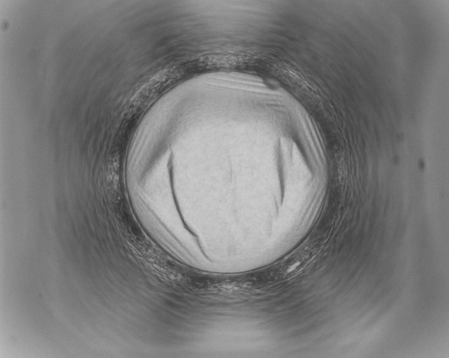 X0000071850737200607290132