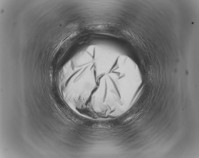 X0000071850739200607290132