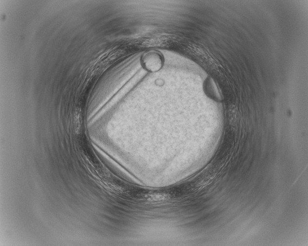 X0000071850741200607290132