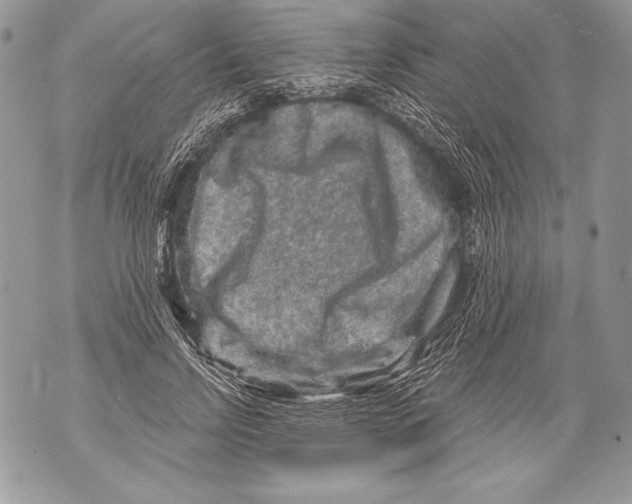 X0000071850742200607290132