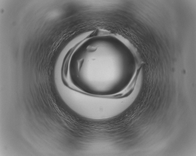 X0000071850743200607290132