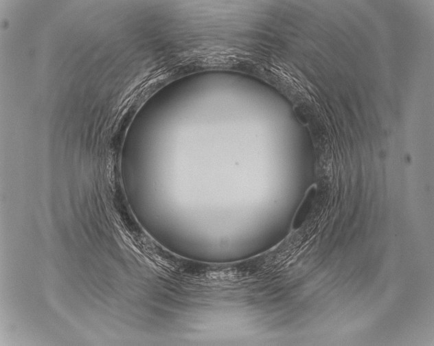 X0000071850744200607290132