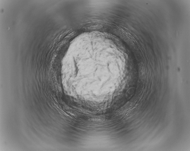 X0000071850745200607290132