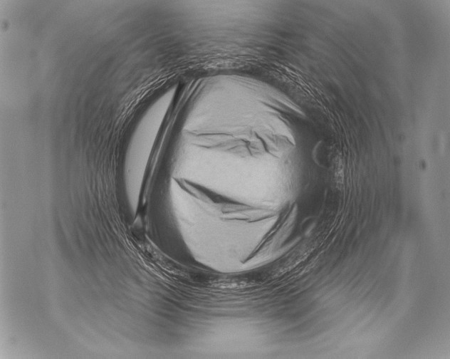 X0000071850746200607290132