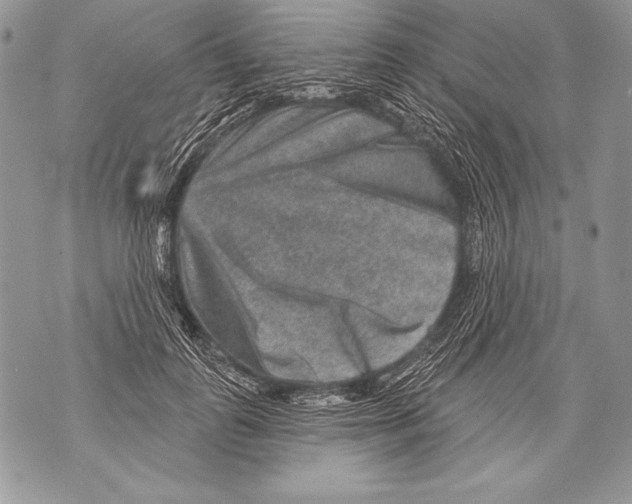 X0000071850747200607290132