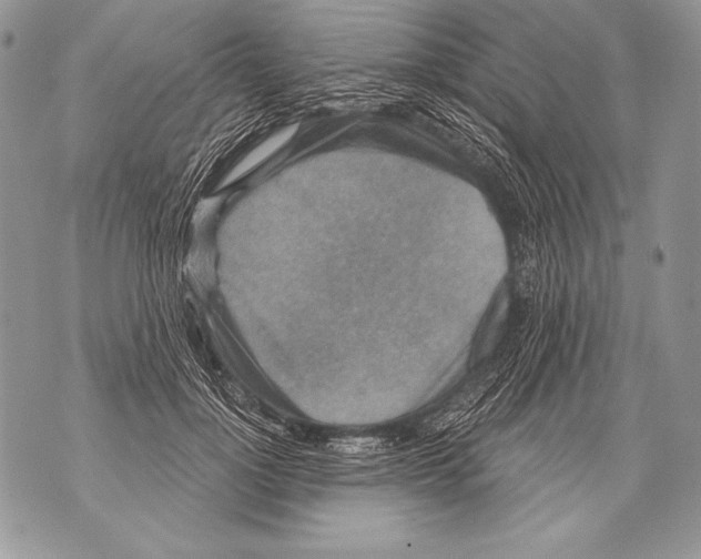 X0000071850748200607290132