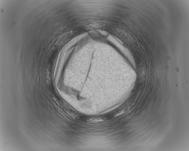 X0000071850749200607290132