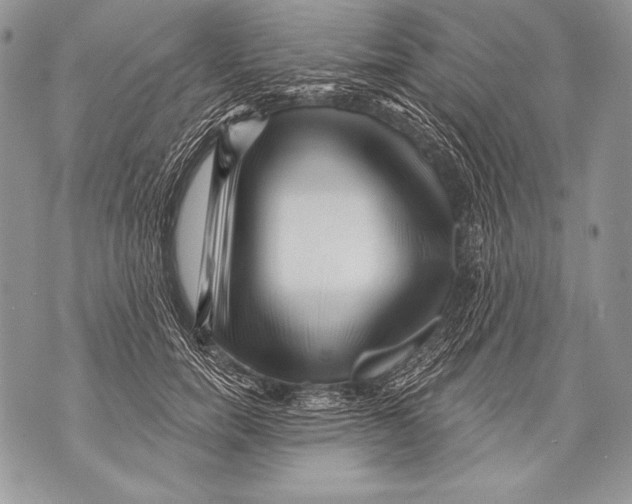 X0000071850750200607290132