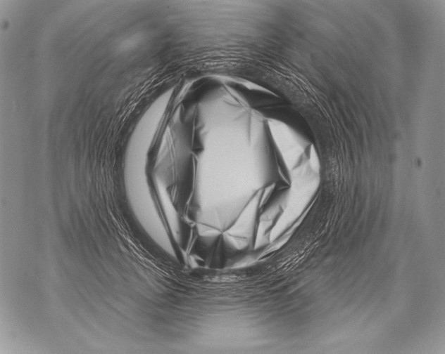 X0000071850751200607290132