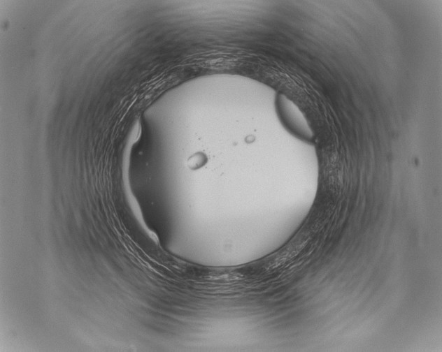 X0000071850752200607290132