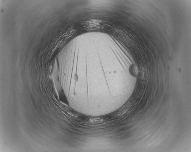 X0000071850753200607290132