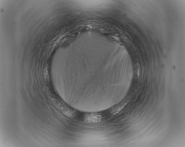 X0000071850754200607290132