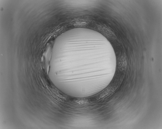 X0000071850755200607290132