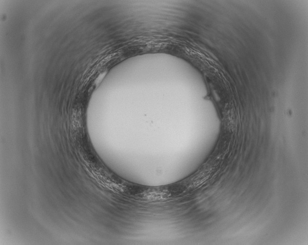 X0000071850756200607290132