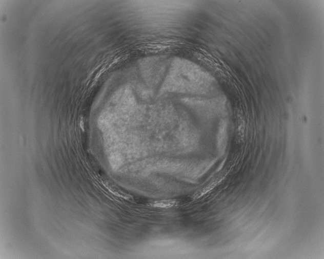 X0000071850758200607290132