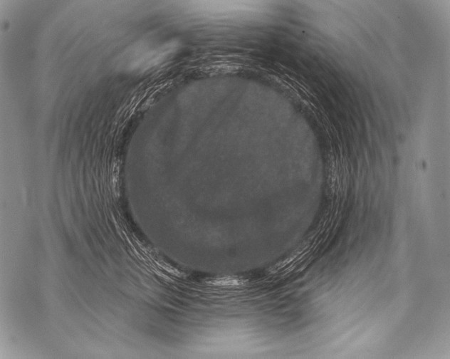 X0000071850759200607290132