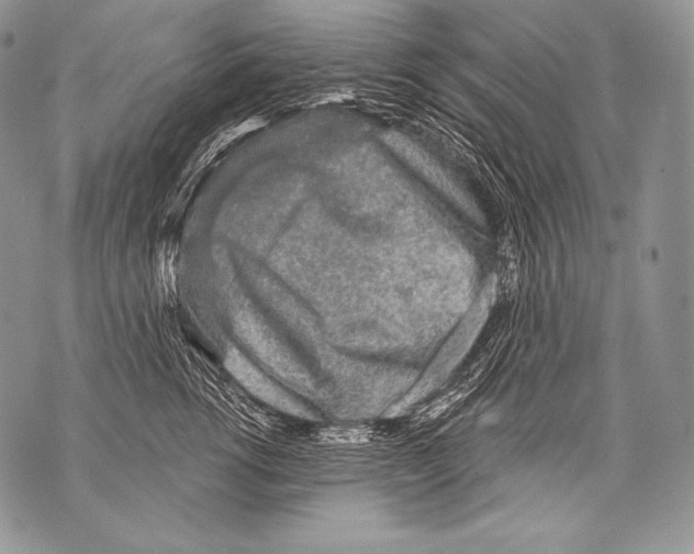 X0000071850762200607290132