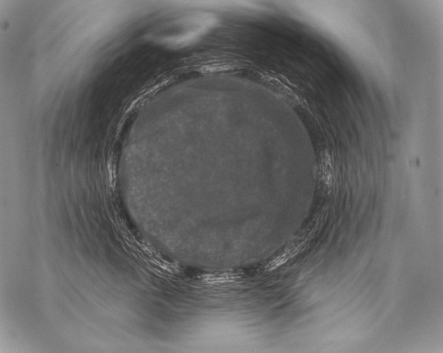 X0000071850763200607290132