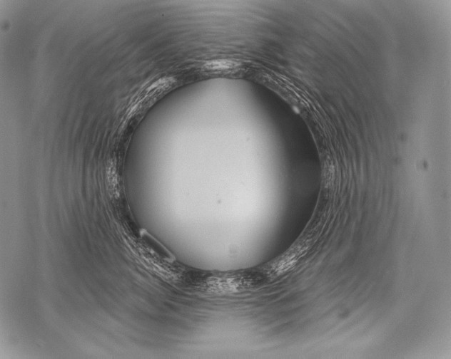 X0000071850764200607290132