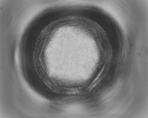 X0000071850765200607290132