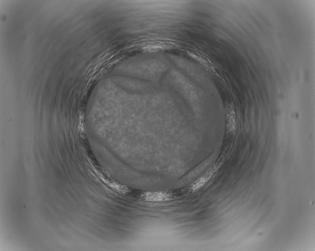 X0000071850766200607290132