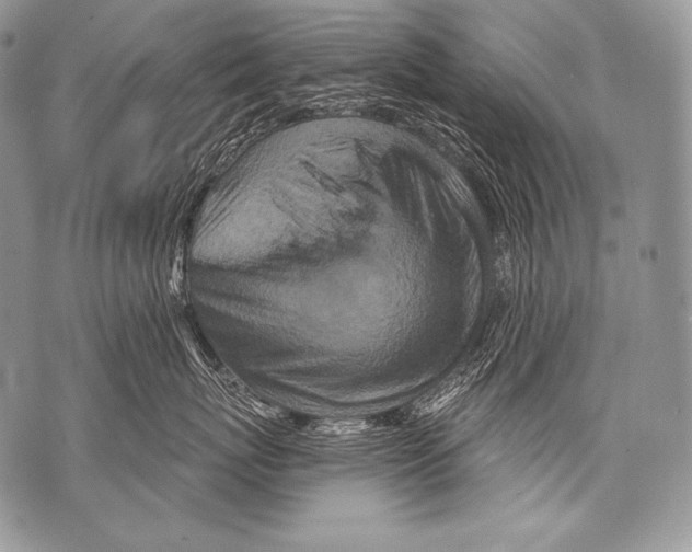 X0000071850767200607290132